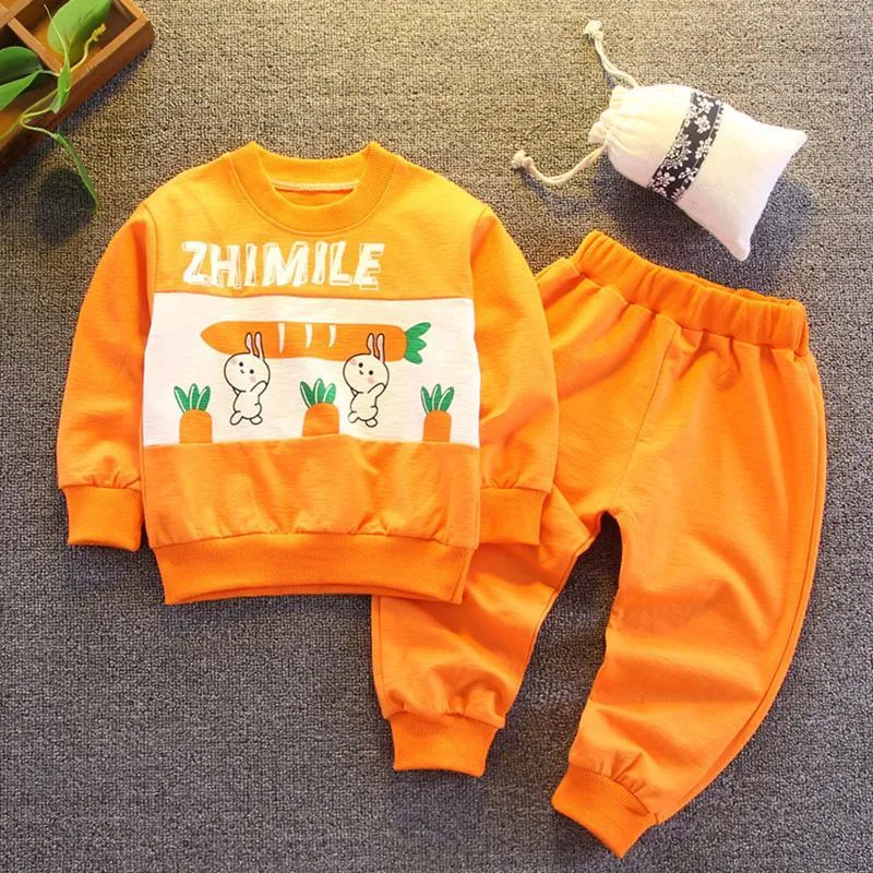 2-piece Rabbit Pattern Sweatshirt & Pants for Toddler Girl