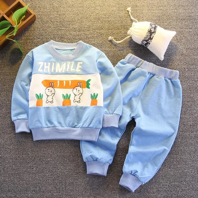 2-piece Rabbit Pattern Sweatshirt & Pants for Toddler Girl