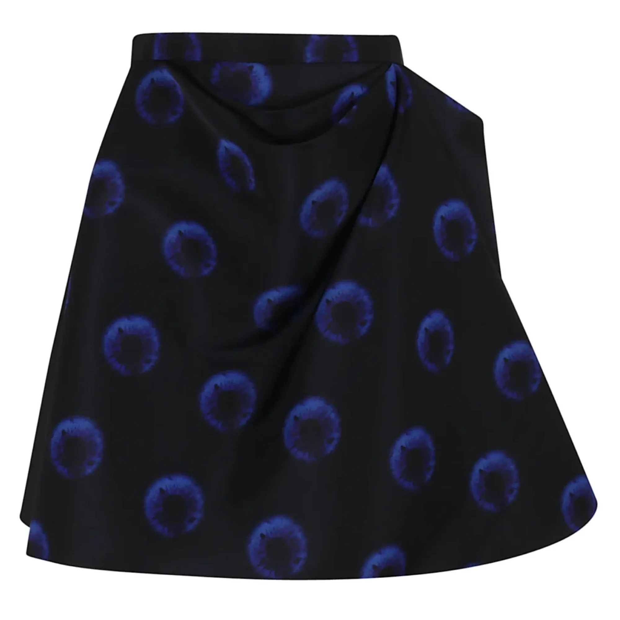 Alexander McQueen Black / Blue 2023 Iris Print Skirt