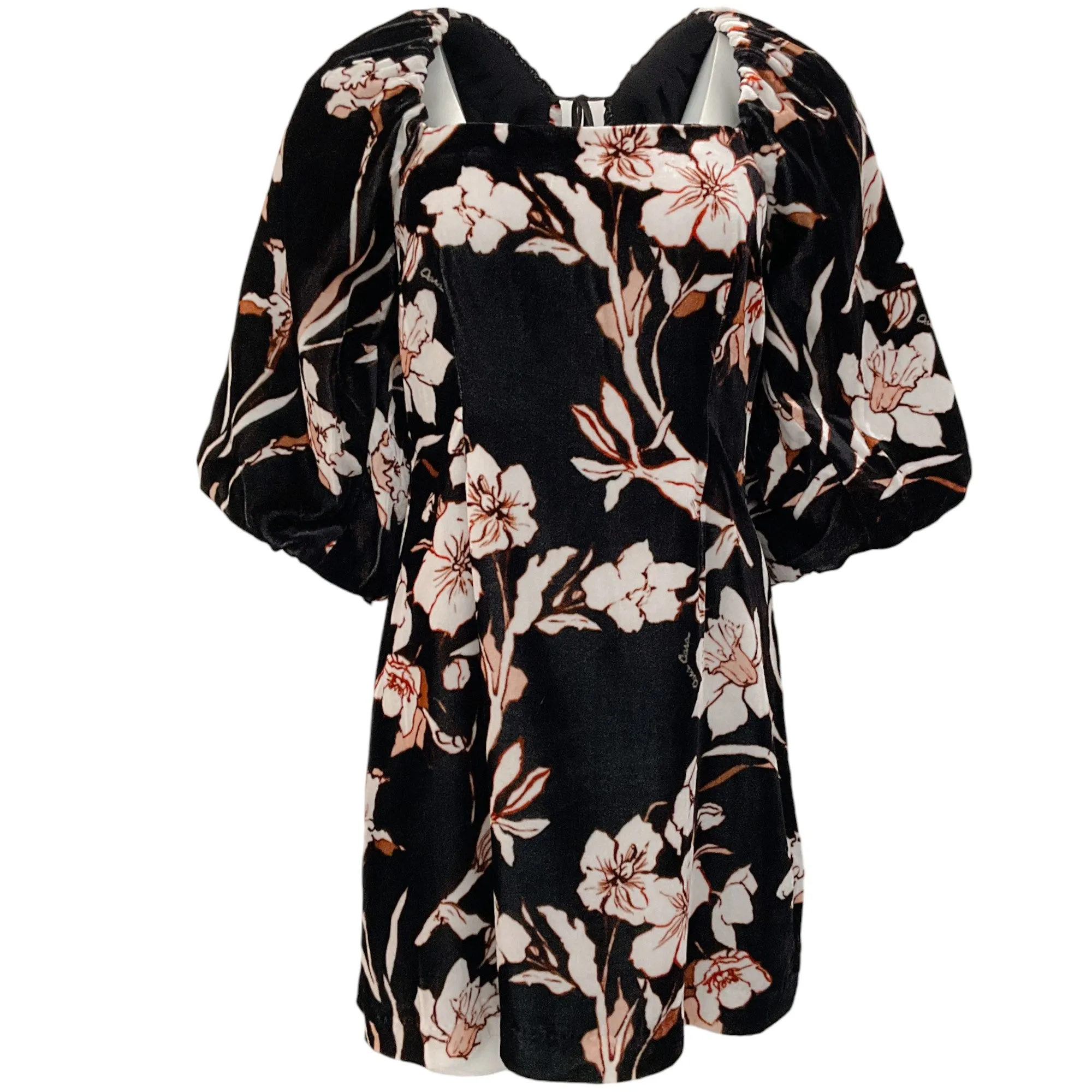 Cara Cara Inslee Floral Black Velvet Adolphine Dress