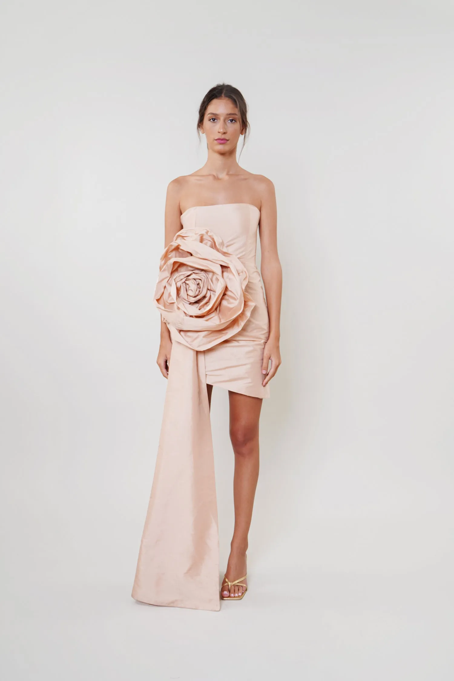 Epine De Rose Dress