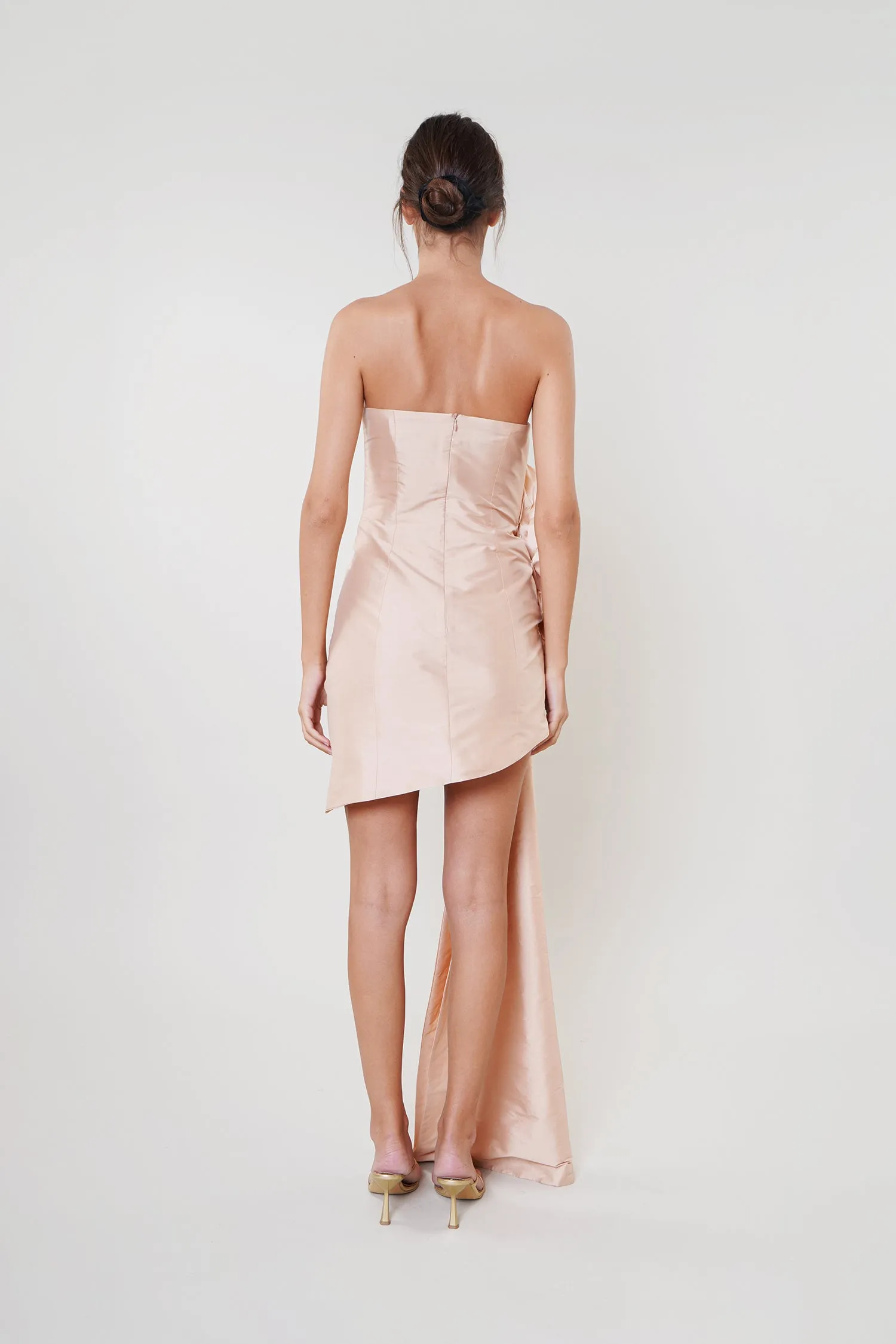 Epine De Rose Dress